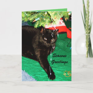 SCHWARZE KATZKARTE FEIERTAGSKARTE