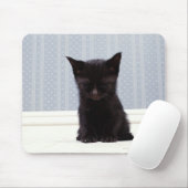 SCHWARZE KITTEN SCHLAFEN MOUSEPAD (Mit Mouse)