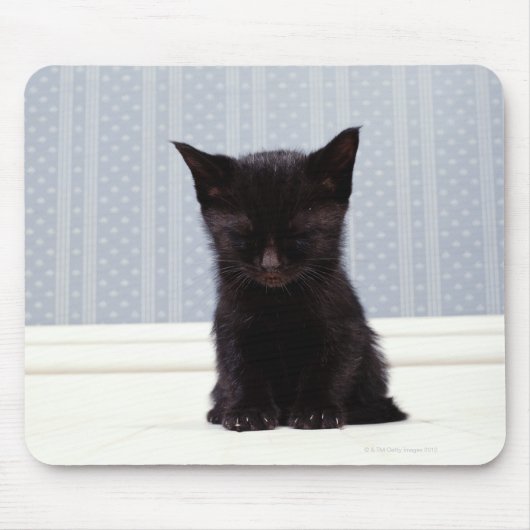 SCHWARZE KITTEN SCHLAFEN MOUSEPAD (Vorne)