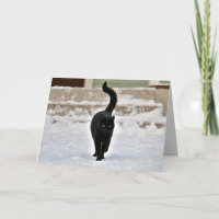 Schwarze Kitty Katze Süße Anpassbare Karte