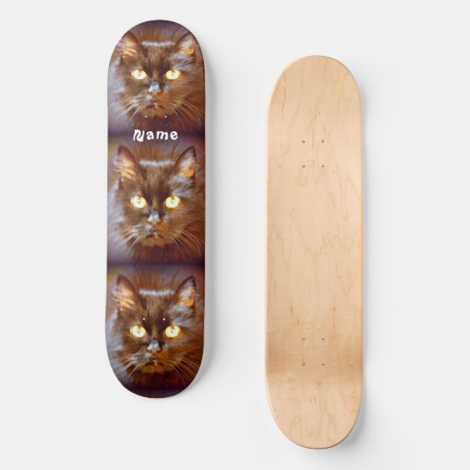 Schwarze Kittycats Thunder_Cove Skateboard (Vorderseite)