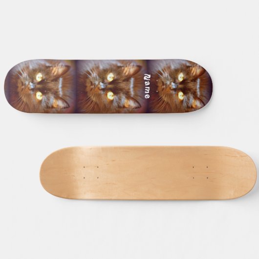 Schwarze Kittycats Thunder_Cove Skateboard (Horizontal)