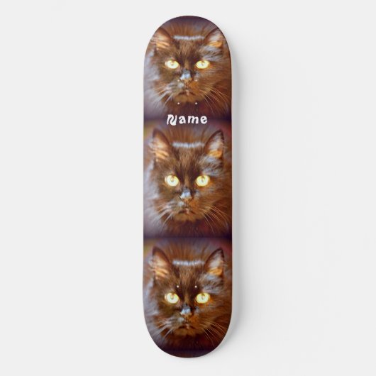 Schwarze Kittycats Thunder_Cove Skateboard (Vorderseite)