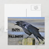 Schwarze Krähe halloween Postkarte (Vorne/Hinten)
