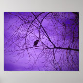 Schwarze Krähe Lila Himmel Poster (Vorne)
