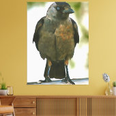 Schwarze Kruge auf einem Balustrade Art Leinwanddruck (Insitu (Wohnzimmer))