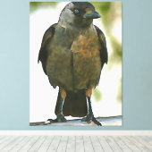 Schwarze Kruge auf einem Balustrade Art Leinwanddruck (Insitu (Holzboden))