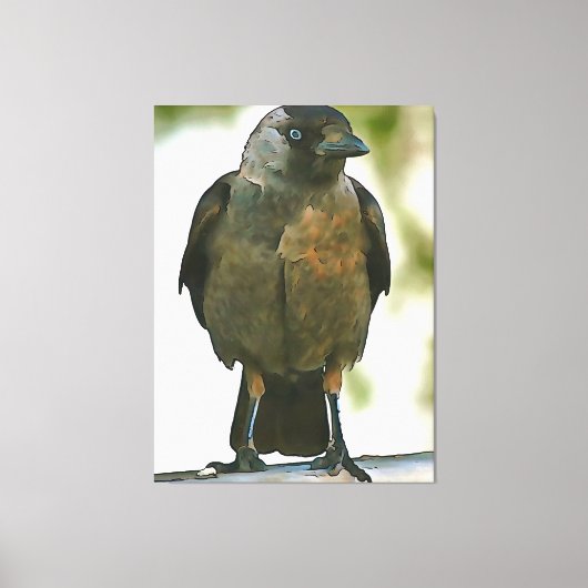 Schwarze Kruge auf einem Balustrade Art Leinwanddruck (Vorderseite)