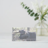 Schwarze Kuh, die aus Zaun heraus schaut Visitenkarte (Stehend Vorderseite)