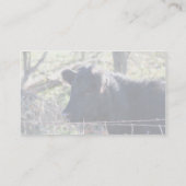 Schwarze Kuh, die aus Zaun heraus schaut Visitenkarte (Rückseite)