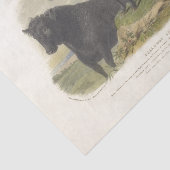 Schwarze Kuh Ephemera Decoupage Vintage Farm Seidenpapier (Ausschnitt)