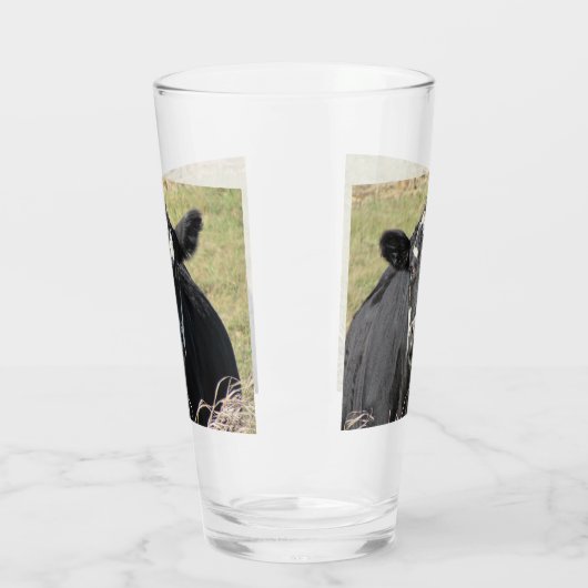 Schwarze Kuh Glas (Links)