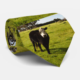 Schwarze Kuh mit weißem Gesicht und Mohawk, Krawatte