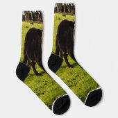 Schwarze Kuh mit weißem Gesicht und Mohawk, Socken (Rechts)