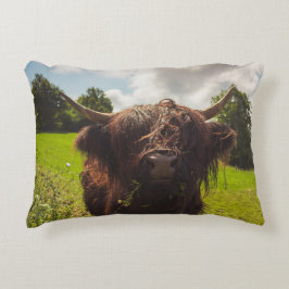 Schwarze Kuh Weide grünes Feld Sonnenlicht Dekokissen