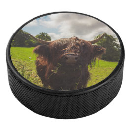 Schwarze Kuh Weide grünes Feld Sonnenlicht Eishockey Puck