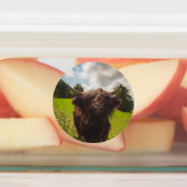 Schwarze Kuh Weide grünes Feld Sonnenlicht Etiketten (Befestigt)