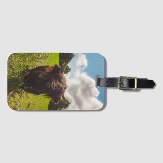 Schwarze Kuh Weide grünes Feld Sonnenlicht Gepäckanhänger (Vorderseite (Horizontal))