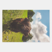 Schwarze Kuh Weide grünes Feld Sonnenlicht Geschenkpapier Set (Vorderseite 3)