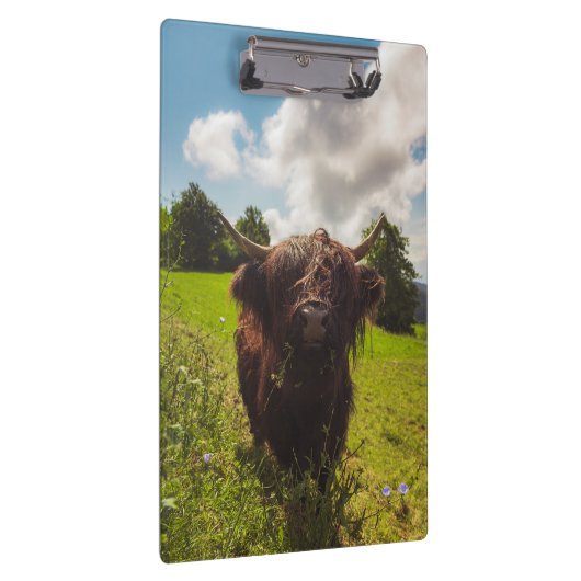 Schwarze Kuh Weide grünes Feld Sonnenlicht Klemmbrett (Rechts)