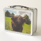 Schwarze Kuh Weide grünes Feld Sonnenlicht Metall Brotdose (Rückseite)