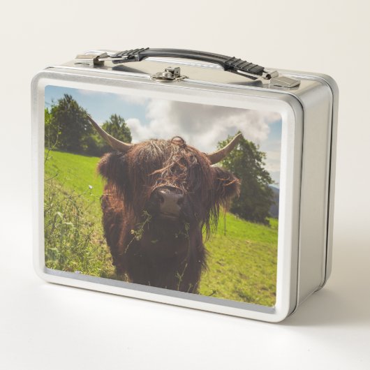 Schwarze Kuh Weide grünes Feld Sonnenlicht Metall Brotdose (Vorderseite)