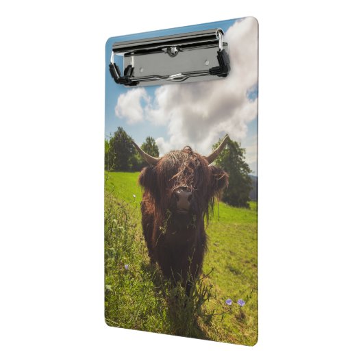 Schwarze Kuh Weide grünes Feld Sonnenlicht Mini Klemmbrett (Gewinkelt2)