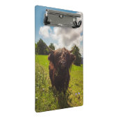 Schwarze Kuh Weide grünes Feld Sonnenlicht Mini Klemmbrett (Schrägansicht)