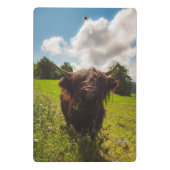 Schwarze Kuh Weide grünes Feld Sonnenlicht Mini Klemmbrett (Rückseite)