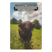 Schwarze Kuh Weide grünes Feld Sonnenlicht Mini Klemmbrett (Vorderseite)