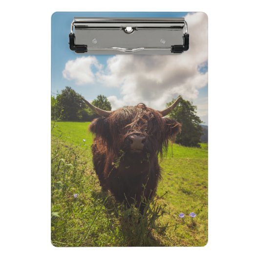 Schwarze Kuh Weide grünes Feld Sonnenlicht Mini Klemmbrett (Vorderseite)