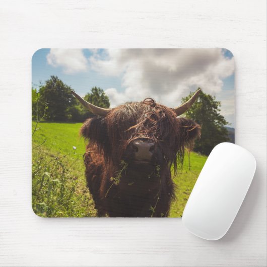 Schwarze Kuh Weide grünes Feld Sonnenlicht Mousepad (Mit Mouse)