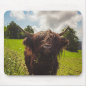 Schwarze Kuh Weide grünes Feld Sonnenlicht Mousepad (Vorne)