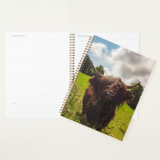 Schwarze Kuh Weide grünes Feld Sonnenlicht Planer (Anzeige)