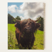 Schwarze Kuh Weide grünes Feld Sonnenlicht Planer (Rückseite)