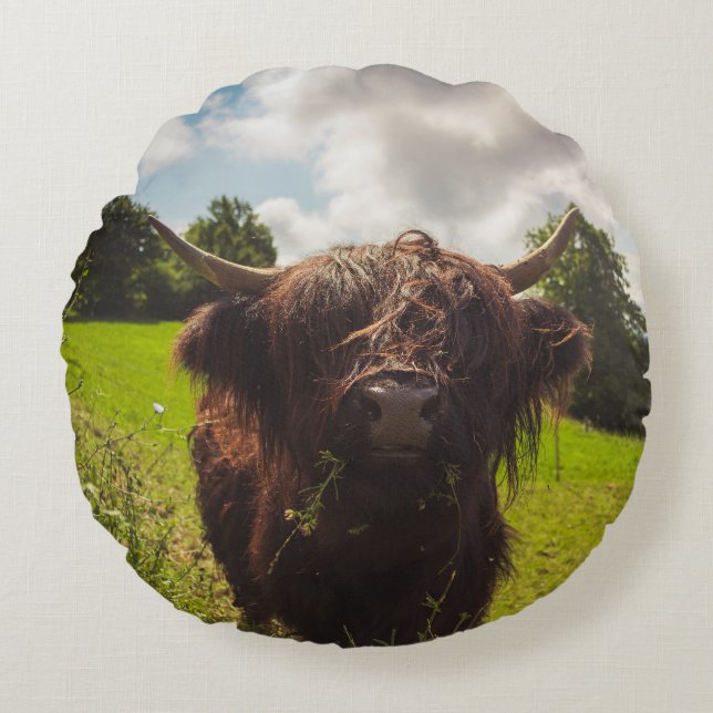 Schwarze Kuh Weide grünes Feld Sonnenlicht Rundes Kissen (Vorderseite)