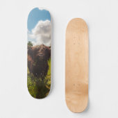 Schwarze Kuh Weide grünes Feld Sonnenlicht Skateboard (Vorderseite)