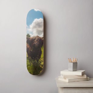Schwarze Kuh Weide grünes Feld Sonnenlicht Skateboard