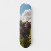 Schwarze Kuh Weide grünes Feld Sonnenlicht Skateboard (Vorderseite)