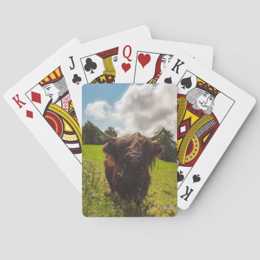 Schwarze Kuh Weide grünes Feld Sonnenlicht Spielkarten (Rückseite)
