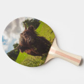 Schwarze Kuh Weide grünes Feld Sonnenlicht Tischtennis Schläger (Seitenansicht)