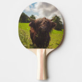 Schwarze Kuh Weide grünes Feld Sonnenlicht Tischtennis Schläger (Vorderseite)