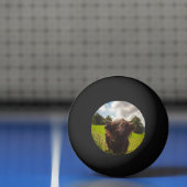 Schwarze Kuh Weide grünes Feld Sonnenlicht Tischtennisball (Netto)