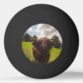 Schwarze Kuh Weide grünes Feld Sonnenlicht Tischtennisball