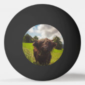 Schwarze Kuh Weide grünes Feld Sonnenlicht Tischtennisball (Rückseite)