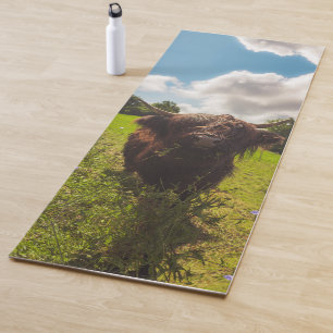 Schwarze Kuh Weide grünes Feld Sonnenlicht Yogamatte