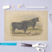 Schwarze Kühe Ephemera Decoupage Vintage Farm Seidenpapier (Handwerk)