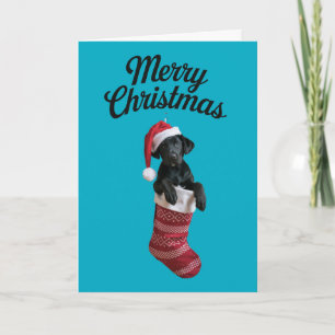Schwarze Lab Christmas Strumpf Karte