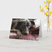 Schwarze Lab-Karte Karte (Gelbe Blume)