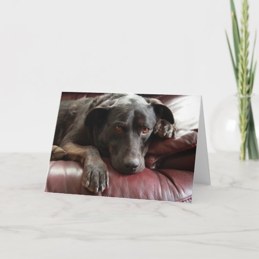 Schwarze Lab-Karte Karte (Vorderseite)